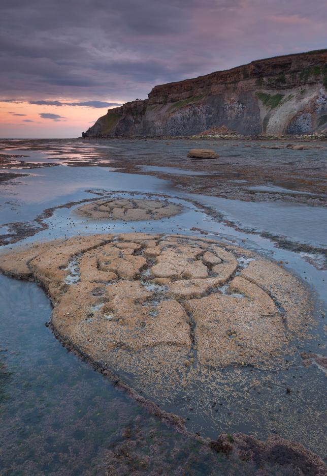 Saltwick Bay, Whitby, North Yorkshire Coast - David Speight Photography