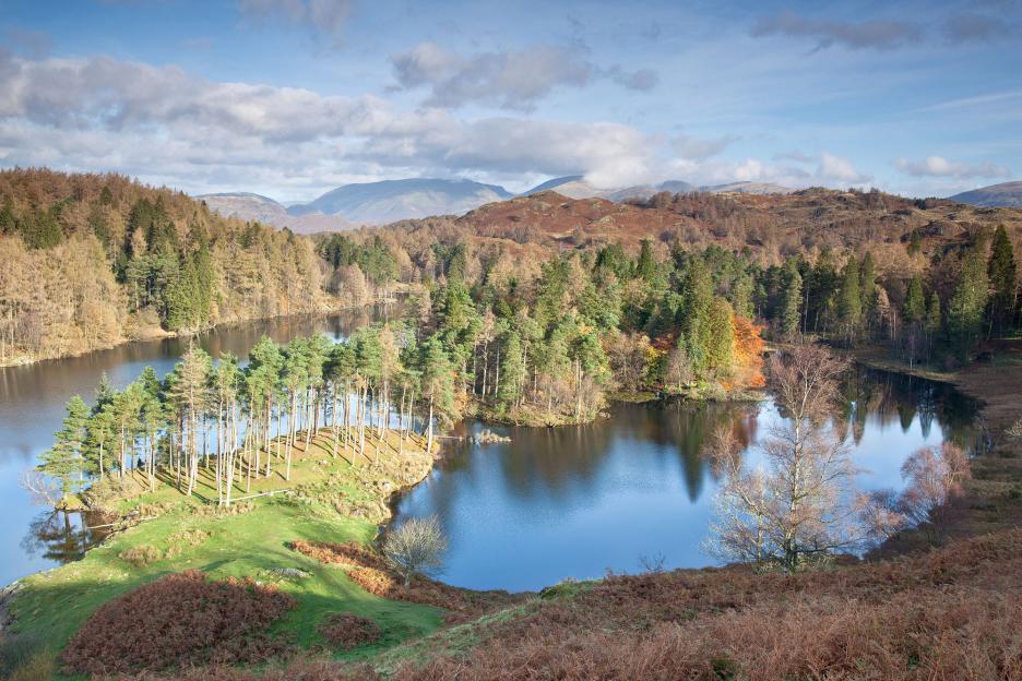 landscape images of the Lake District - Tarn Hows - David Speight ...